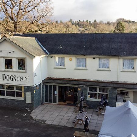 Twa Dogs Inn 凯西克 外观 照片